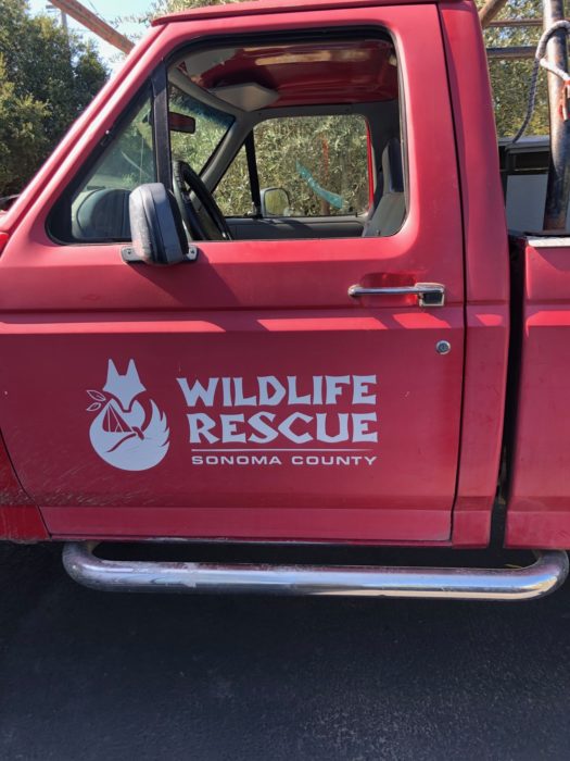 Wildlife rescue truck