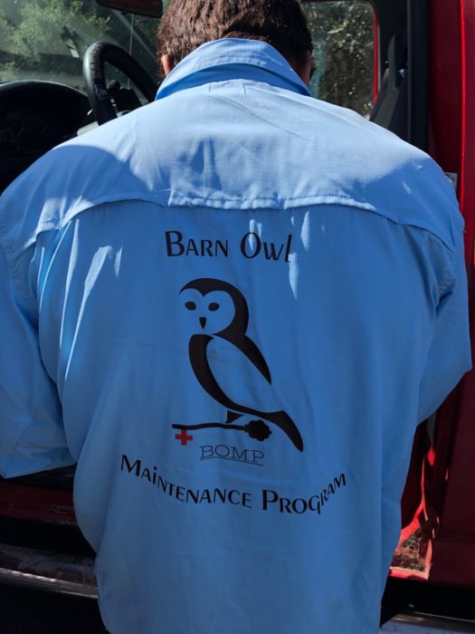 Barn owl t-shirt
